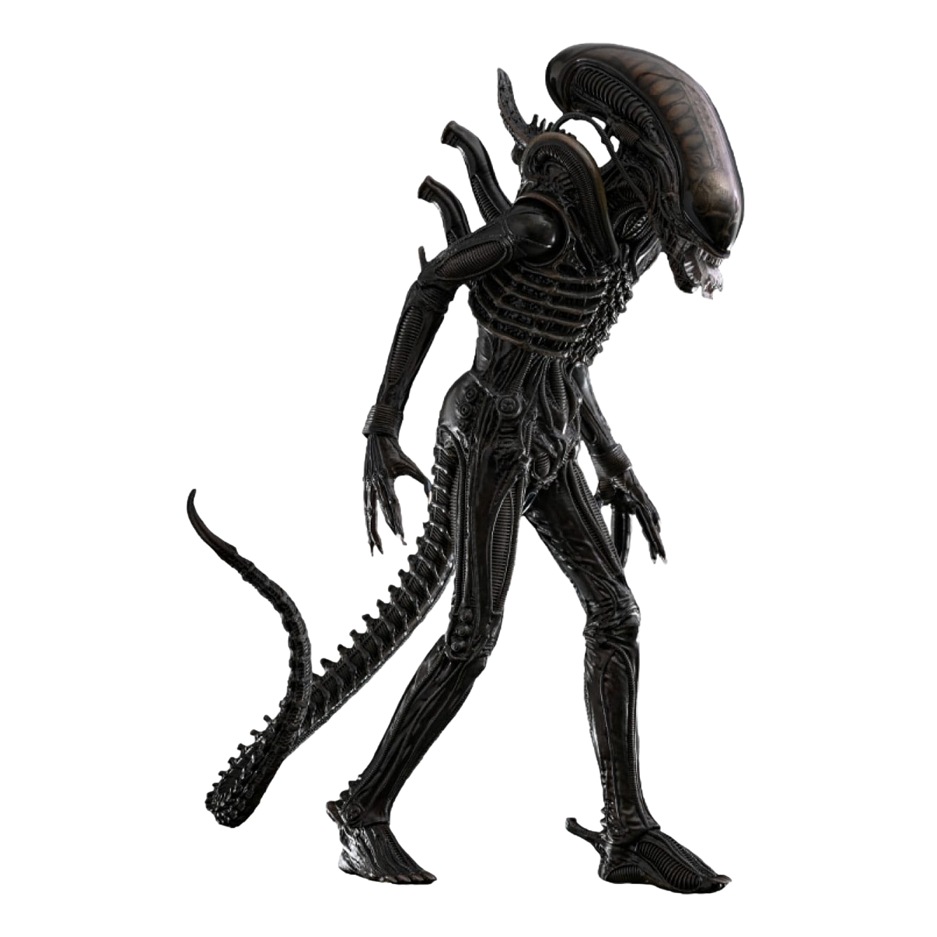 Hot Toys Alien: Big Chap: 1/6th — Official Stockist – Planet