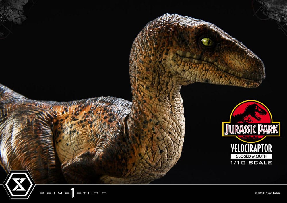 Jurassic Park Prime Collectibles Statue 1/10 Velociraptor Closed Mouth 19 cm - Prime 1 Studio Statues