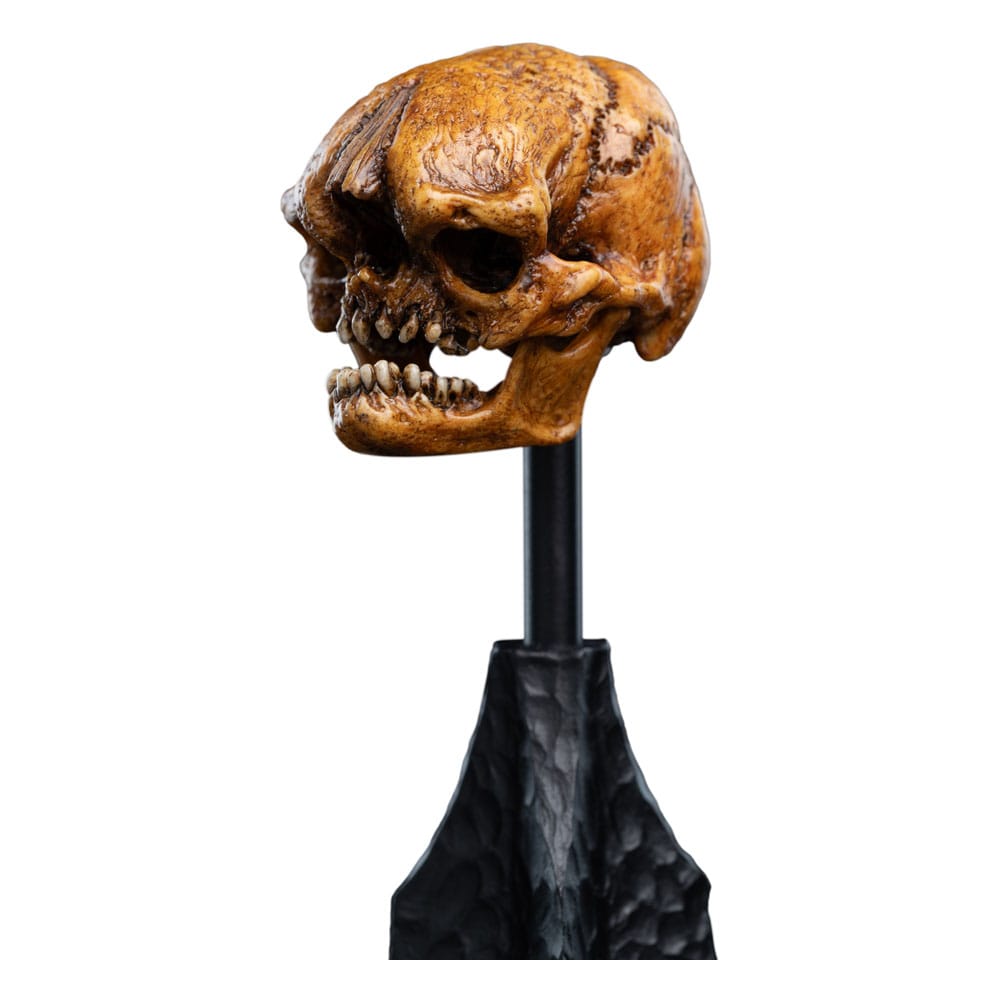 Lord of the Rings Mini Statue Skull of a Misty Mountain Goblin 14 cm - Weta Workshop Statues