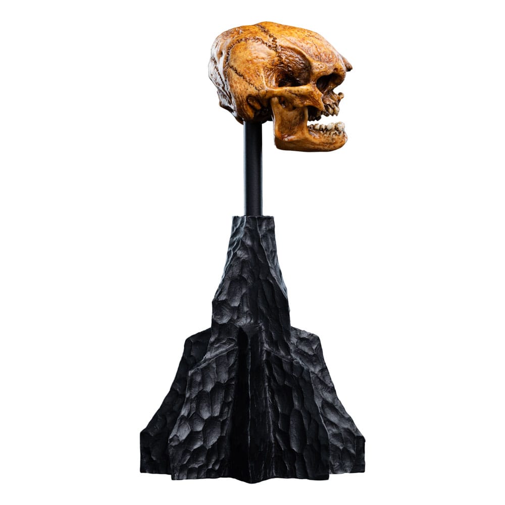 Lord of the Rings Mini Statue Skull of a Misty Mountain Goblin 14 cm - Weta Workshop Statues