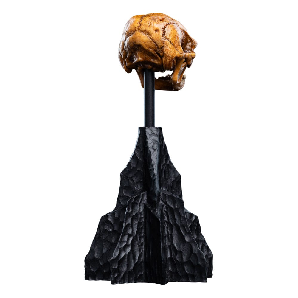 Lord of the Rings Mini Statue Skull of a Misty Mountain Goblin 14 cm - Weta Workshop Statues