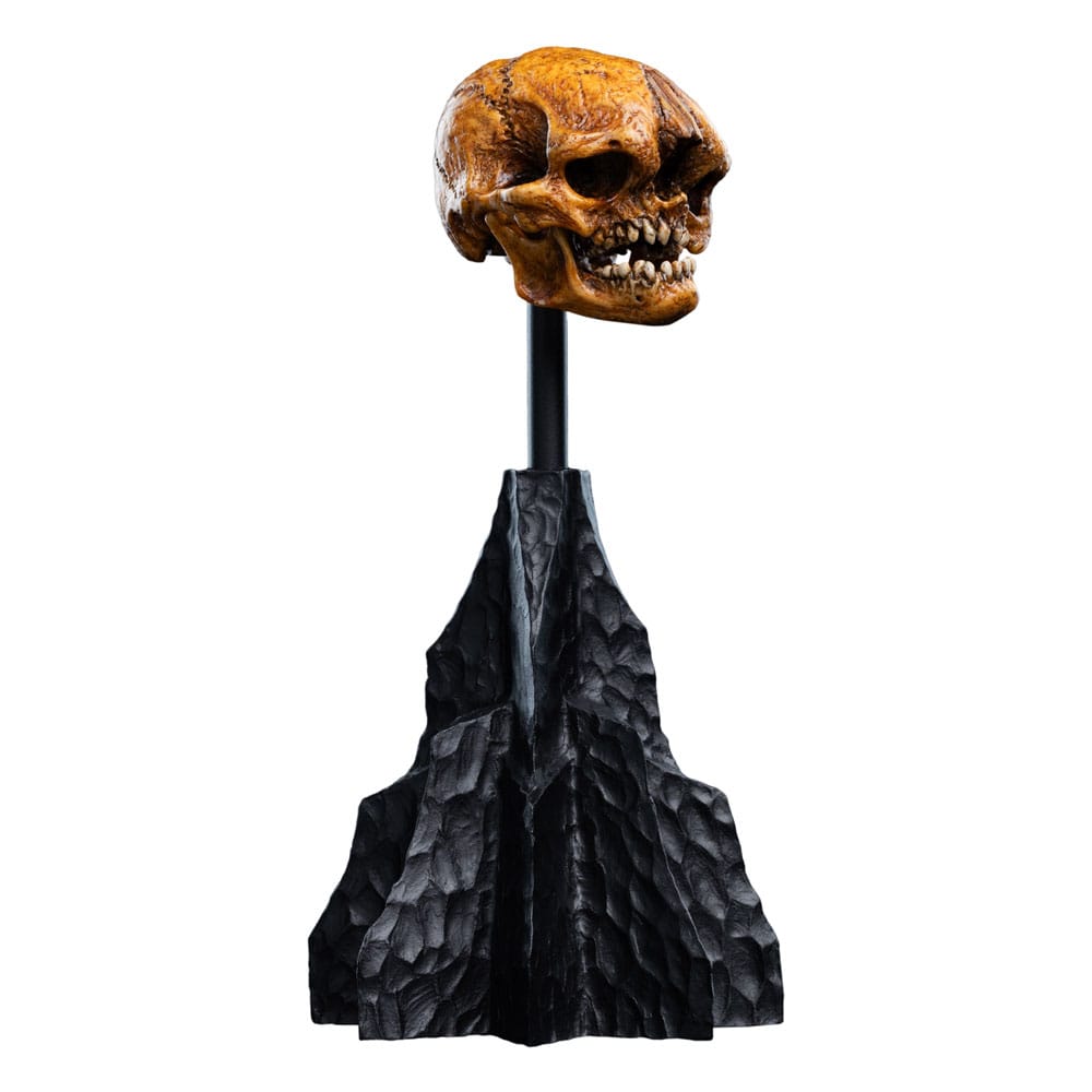 Lord of the Rings Mini Statue Skull of a Misty Mountain Goblin 14 cm - Weta Workshop Statues