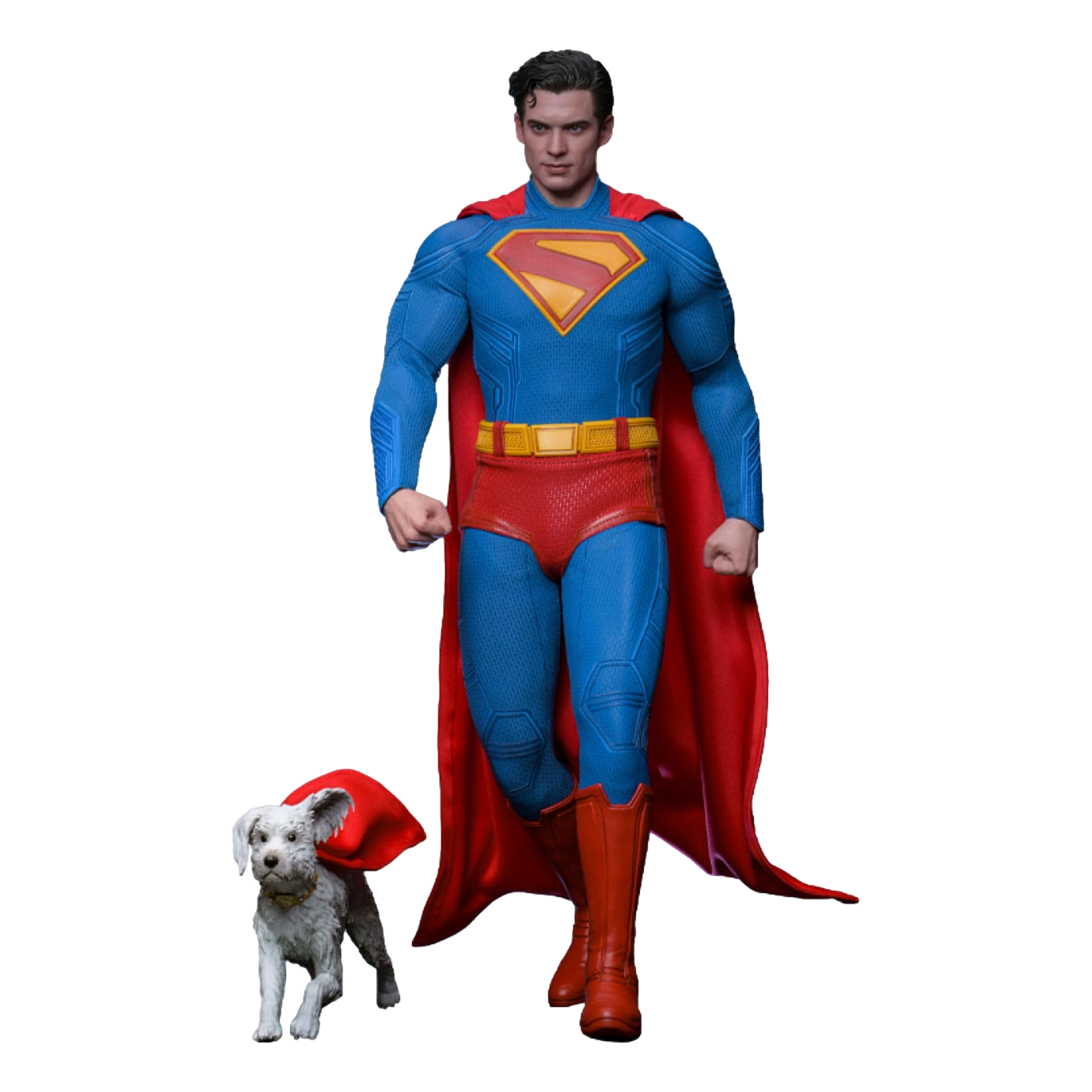 Superman (2025): Superman & Krypto: 1/6th Scale Action Figure - Hot Toys Action Figure