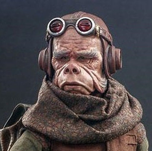 The Madalorian