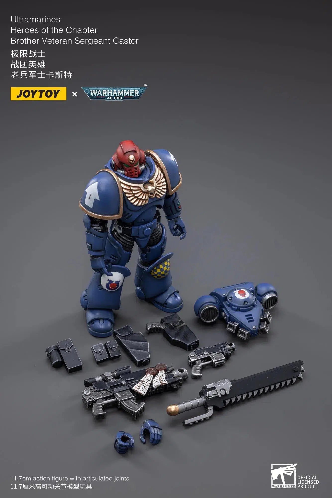 Warhammer 40K: Heroes of the Chapter: Brother Veteran Sergeant Castor: Joy Toy