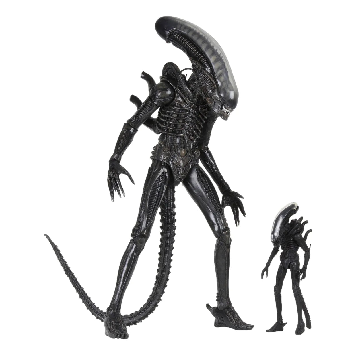 Alien: 40th Anniversary: The Count: Ultimate 22" Action Figure: 1/4 Scale by Neca – Action Figure, [scale], UK stockist Planet Action Figures