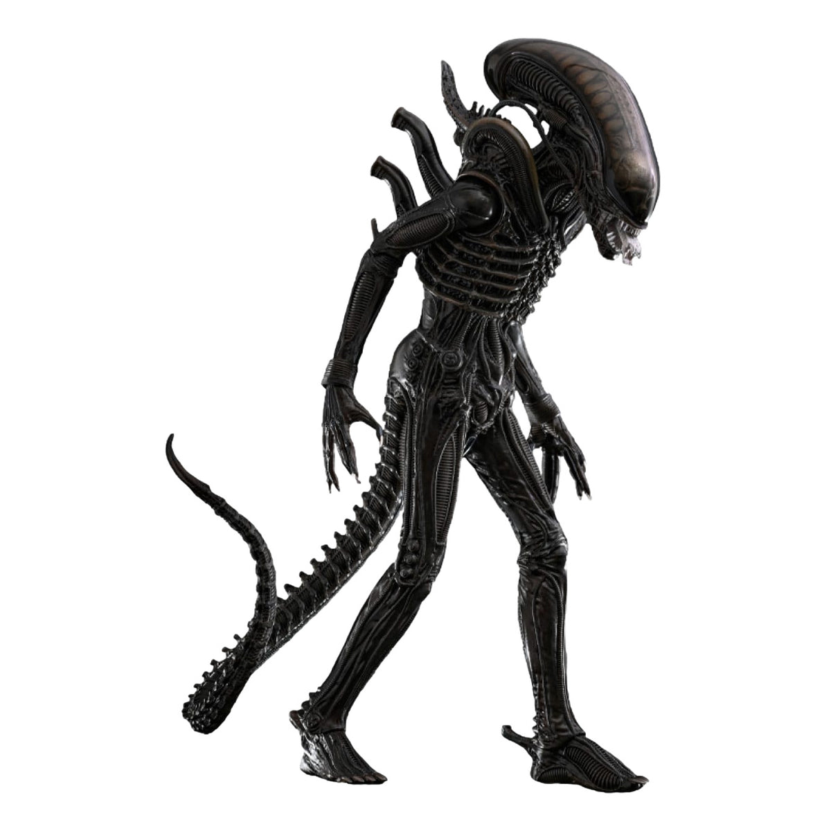 Alien: Big Chap: 1/6th - Hot Toys Action Figures