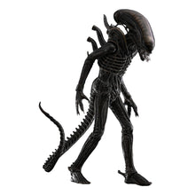 Alien: Big Chap: 1/6th - Hot Toys Action Figures