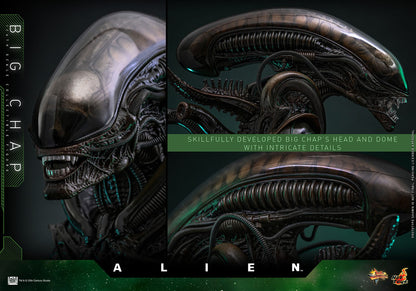 Alien: Big Chap: 1/6th - Hot Toys Action Figures