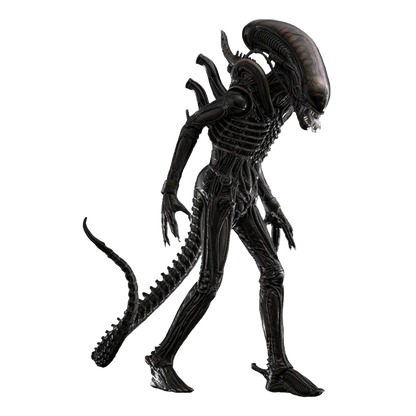 Alien: Big Chap: 1/6th - Hot Toys Action Figures