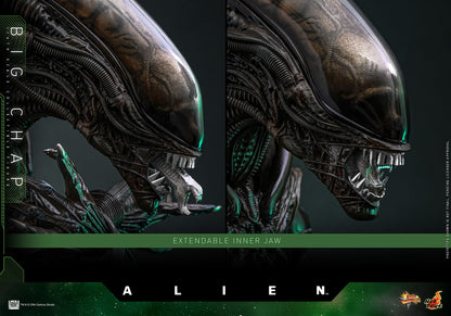 Alien: Big Chap: 1/6th Scale Action Figure - Hot Toys Action Figure