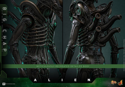 Alien: Big Chap: 1/6th Scale Action Figure - Hot Toys Action Figure