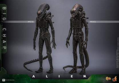 Alien: Big Chap: 1/6th Scale Action Figure - Hot Toys Action Figure