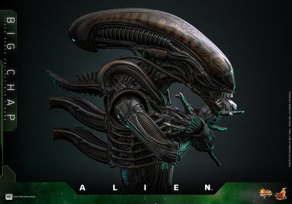 Alien: Big Chap: 1/6th Scale Action Figure - Hot Toys Action Figure