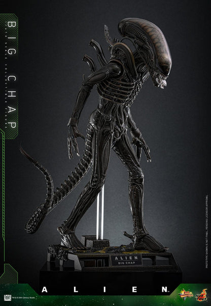 Alien: Big Chap: 1/6th Scale Action Figure - Hot Toys Action Figure