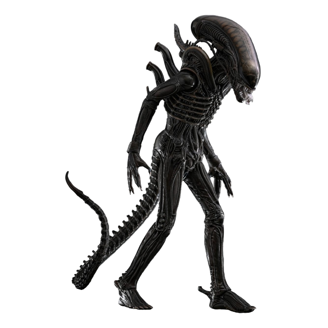 Alien: Big Chap: 1/6th Scale Action Figure: Hot Toys Hot Toys