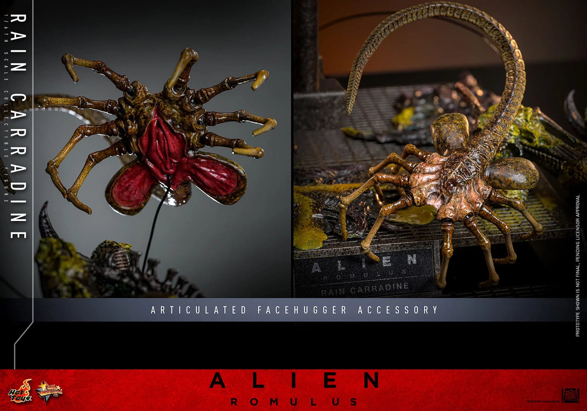 Alien: Romulus: Rain Carradine: 1/6th Scale Action Figure: Hot Toys Hot Toys