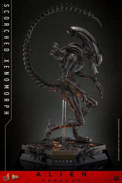 Alien: Romulus: Scorched Xenomorph: 1/6th - Hot Toys Action Figures
