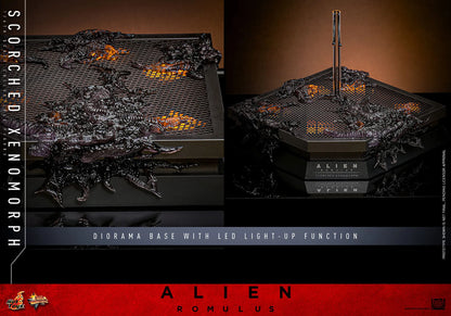 Alien: Romulus: Scorched Xenomorph: 1/6th - Hot Toys Action Figures