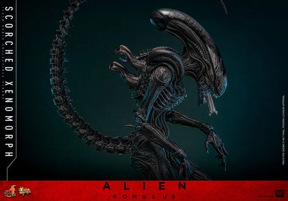 Alien: Romulus: Scorched Xenomorph: 1/6th - Hot Toys Action Figures