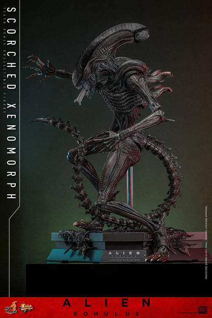 Alien: Romulus: Scorched Xenomorph: 1/6th - Hot Toys Action Figures