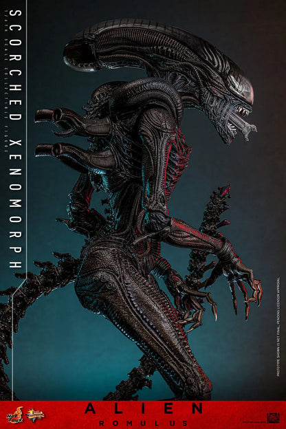 Alien: Romulus: Scorched Xenomorph: 1/6th - Hot Toys Action Figures