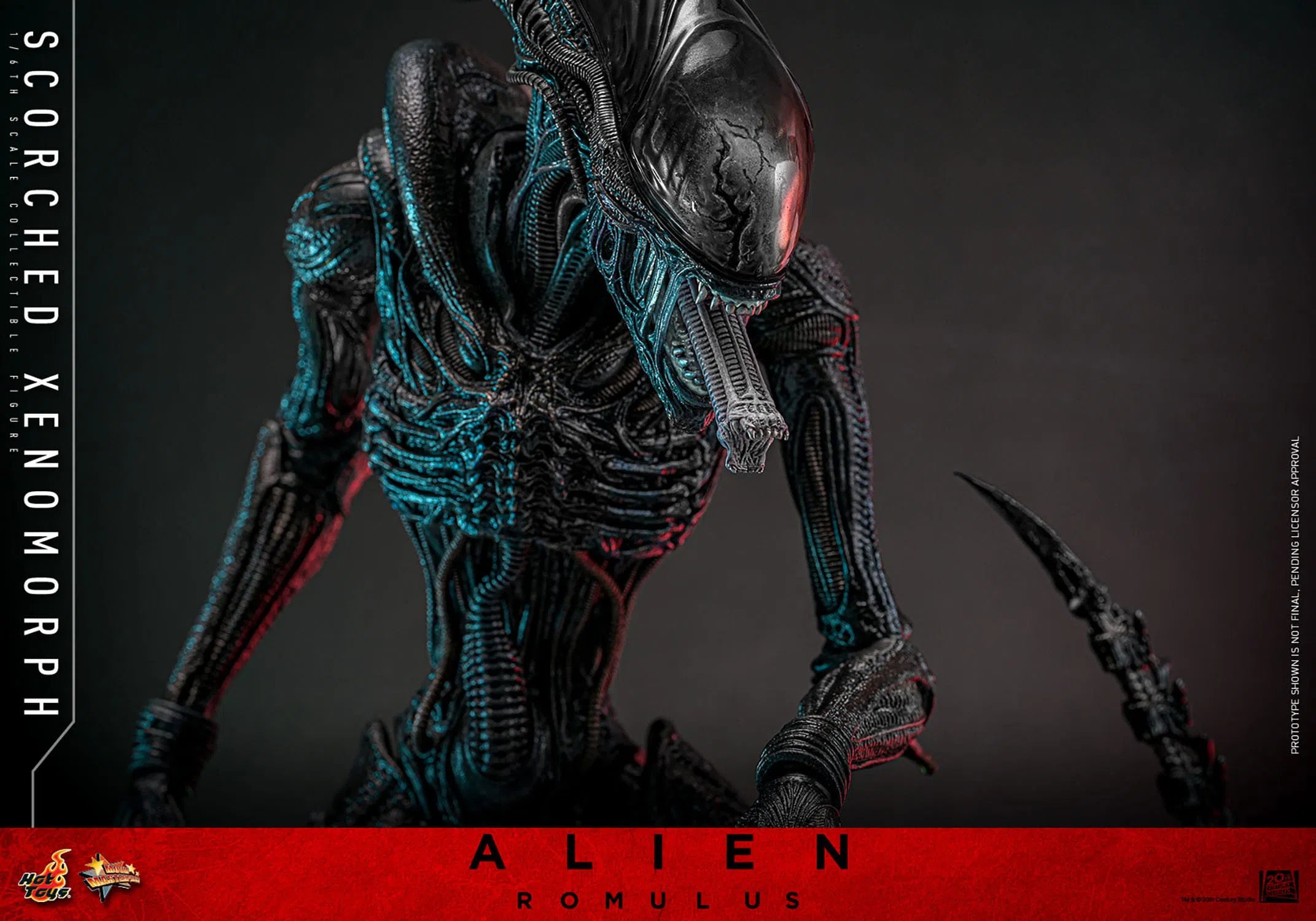 Alien: Romulus: Scorched Xenomorph: 1/6th Scale Action Figure: Hot Toys Hot Toys