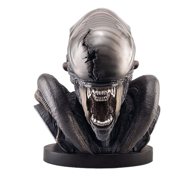 Alien Romulus: Xenomorph: 1/1 Bust - Hollywood Collectibles Group Lifesize busts