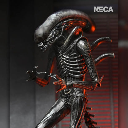 Alien: Romulus: Xenomorph XX121: Ultimate 7" Action Figure - Neca Action Figure