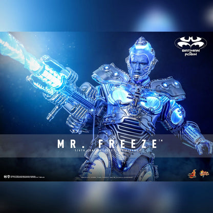 Batman & Robin: Mr. Freeze: 1/6th - Hot Toys Action Figures