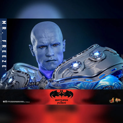 Batman & Robin: Mr. Freeze: 1/6th - Hot Toys Action Figures