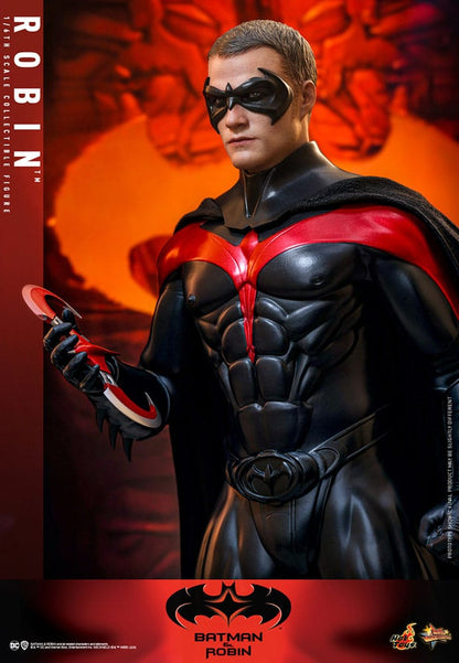 Batman & Robin: Robin: 1/6 - Hot Toys Action Figures