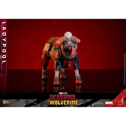 Deadpool & Wolverine: Ladypool - Hot Toys Action Figure
