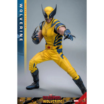 Deadpool & Wolverine: Wolverine: Deluxe - Hot Toys Action Figure
