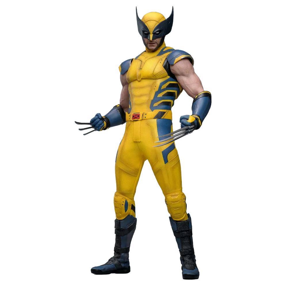 Deadpool & Wolverine: Wolverine: Hot Toys Hot Toys