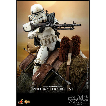 Dewback Deluxe & Sandtrooper Sergeant: Star Wars: A New Hope - Hot Toys Action Figure