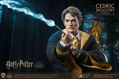 Harry Potter & The Goblet Of Fire: Cedric Diggory: Deluxe: Sixth Scale Figure - Star Ace Action Figure