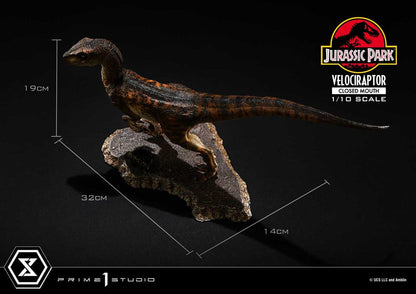 Jurassic Park Prime Collectibles Statue 1/10 Velociraptor Closed Mouth 19 cm - Prime 1 Studio Statues