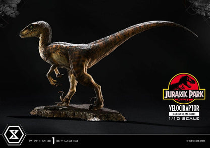 Jurassic Park Prime Collectibles Statue 1/10 Velociraptor Closed Mouth 19 cm - Prime 1 Studio Statues