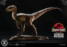 Jurassic Park Prime Collectibles Statue 1/10 Velociraptor Closed Mouth 19 cm - Prime 1 Studio Statues