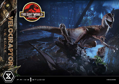 Jurassic Park: The Lost World: Velociraptor: Legacy Museum Collection 1/6 Scale Statue - Prime 1 Studio Statue