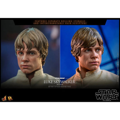 Luke Skywalker: Bespin: Standard: Star Wars: DX24 - Hot Toys Action Figure