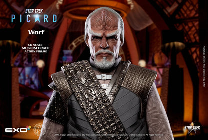 Star Trek: Picard: Pacifist Worf: Exo-6 - EXO-6 Action Figure