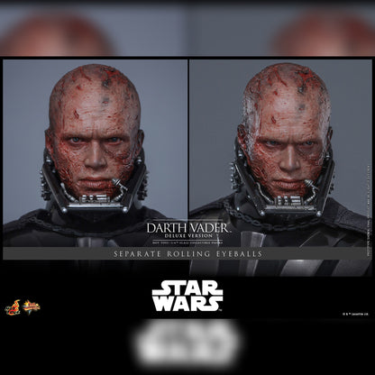 Star Wars: Episode III: Darth Vader: Deluxe: 1/6th Scale Action Figure MMS810 - Hot Toys Action Figure
