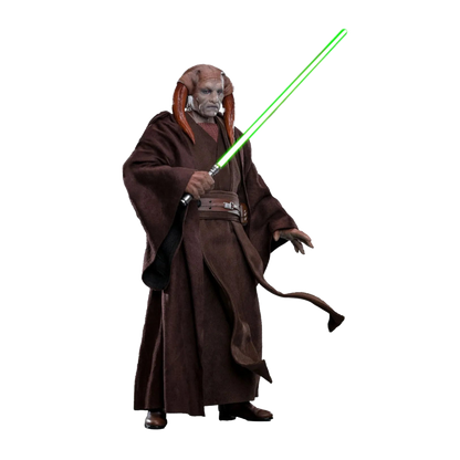 Star Wars: Episode III: Revenge Of The Sith: Saesee Tiin: 1/6th - Hot Toys Action Figures