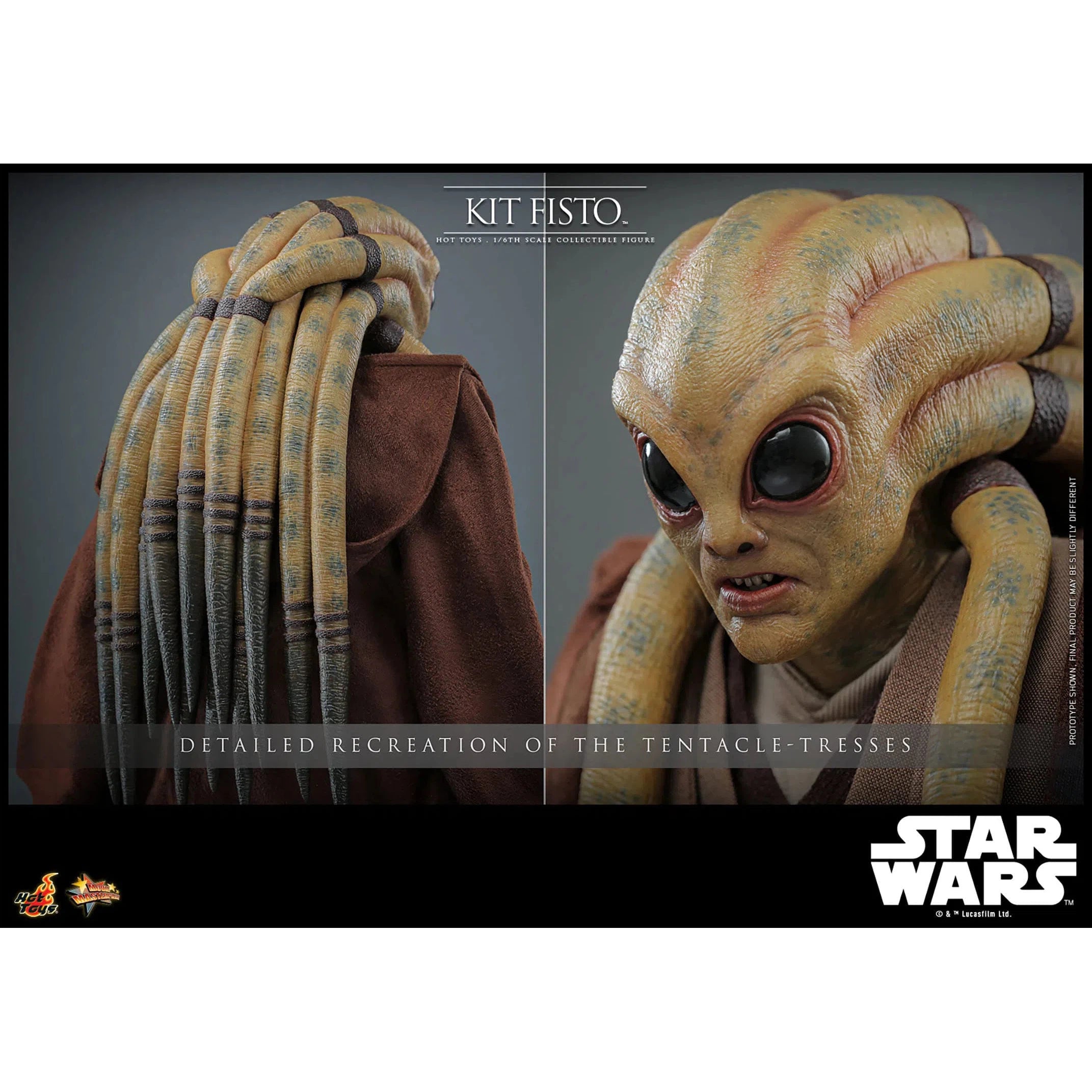 Star Wars: Episode III: Revenge of the Sith: Kit Fisto: Hot Toys Hot Toys