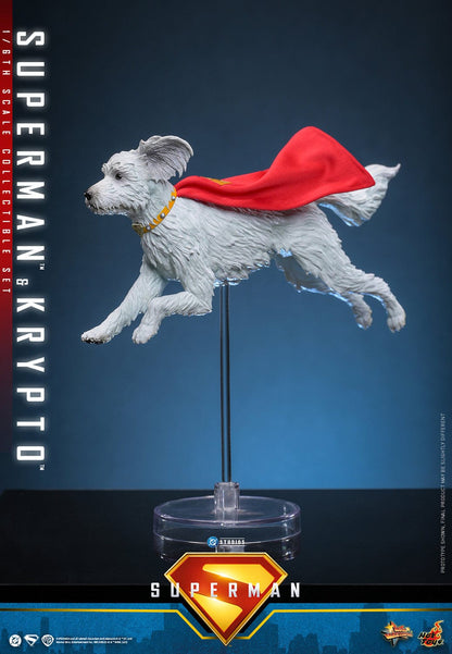 Superman (2025): Superman & Krypto: 1/6th Scale Action Figure - Hot Toys Action Figure