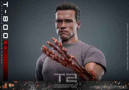 Terminator 2: T-800 Version 2.0: MMS795: 1/6th - Hot Toys Action Figures
