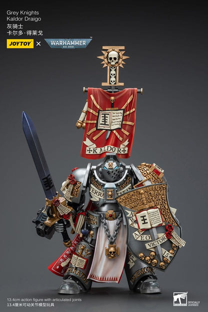 Warhammer 40k: Grey Knights: Kaldor Draigo (Reissue): Action Figure - Joy Toy Action Figures