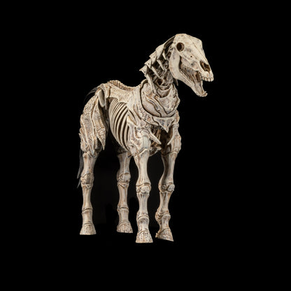 Mythic Legions: Skeleton Steed: Legion Builder Action Figure